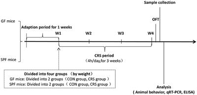 Microbiota Modulate Anxiety-Like Behavior and Endocrine Abnormalities in Hypothalamic-Pituitary-Adrenal Axis